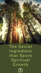 Read more about the article The Secret Ingredient that Spurs Spiritual Growth – Step 8