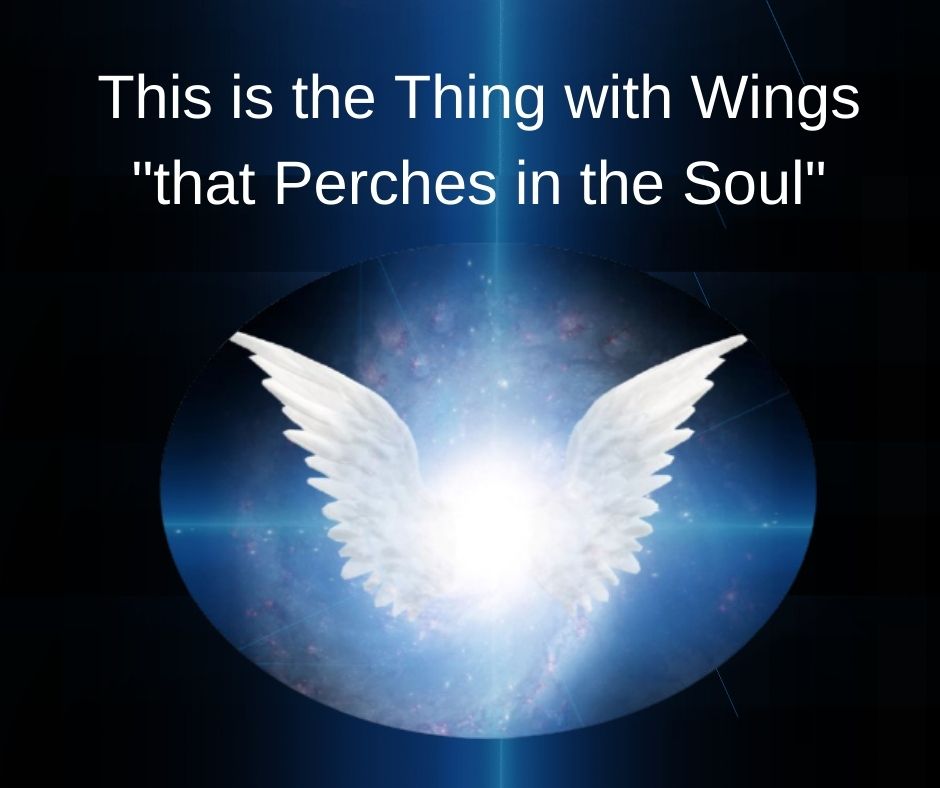 You are currently viewing This is the Thing with Wings ” that Perches in the Soul”*- Step 12