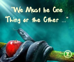 Read more about the article “We Must be One Thing or the Other” or can We be Something in Between- Step 4