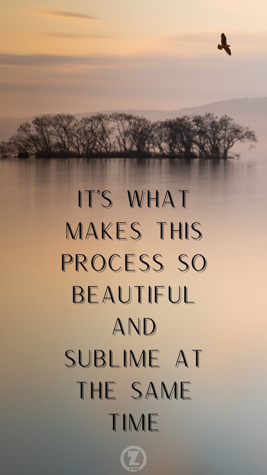 You are currently viewing It’s What Makes this Process both Beautiful and Sublime at the Same Time – Step 7