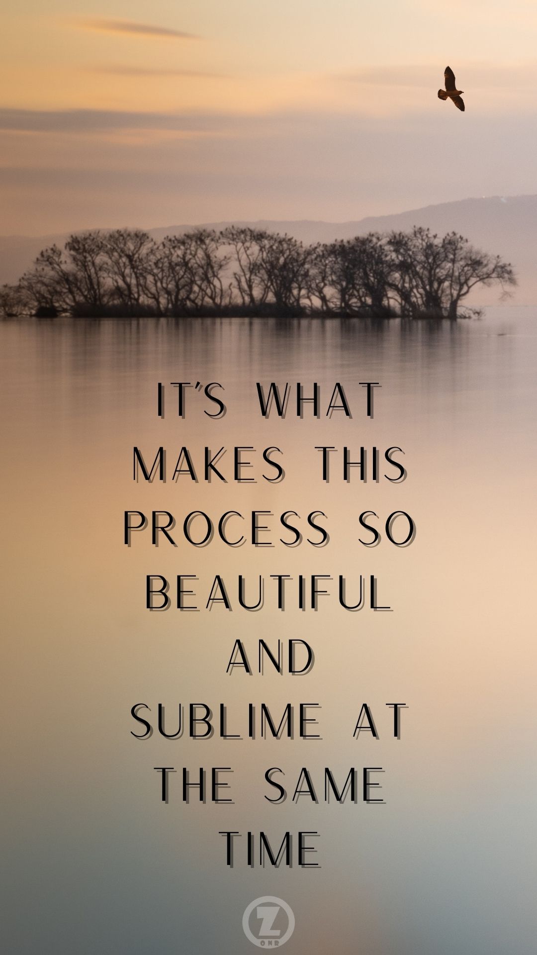 Read more about the article It’s What Makes this Process both Beautiful and Sublime at the Same Time – Step 7