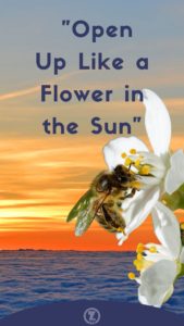 Read more about the article Grace and Humility Allows Us to “Open Up Like a Flower in the Sun”- Step 12