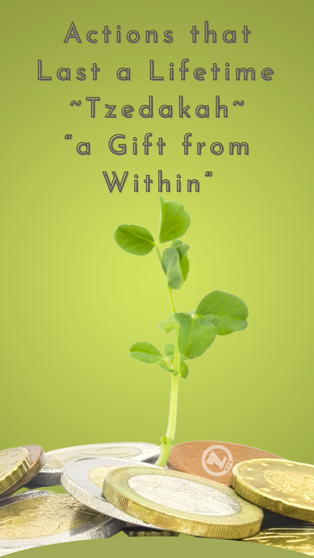 You are currently viewing The Actions with Lasting Value, Tzedakah – “a Gift from Within” – Step 5